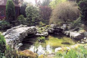 A HeronGuard Fitted To A Pond With A Soft Surround